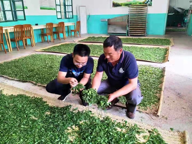 郑鹏程专家团队来郧西指导