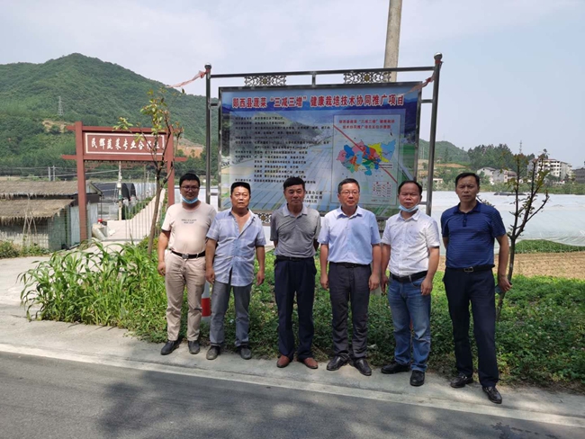 1766480714762251.jpg 在民辉合作社建立省协同推广项目基地07.jpg