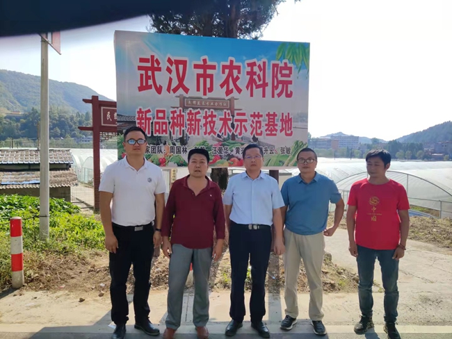 1766480752312073.jpg 武汉市农科院示范基地03.jpg