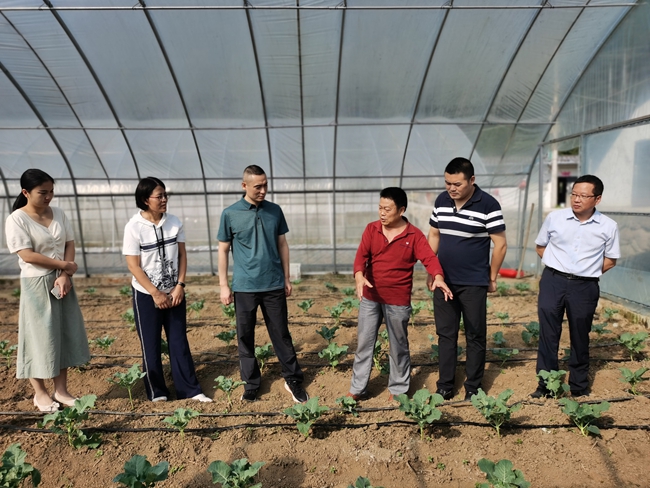 1766480977146678.jpg F1.8 HUAWEI 周国林团队在民辉合作社田间现场服务 (1)06.jpg