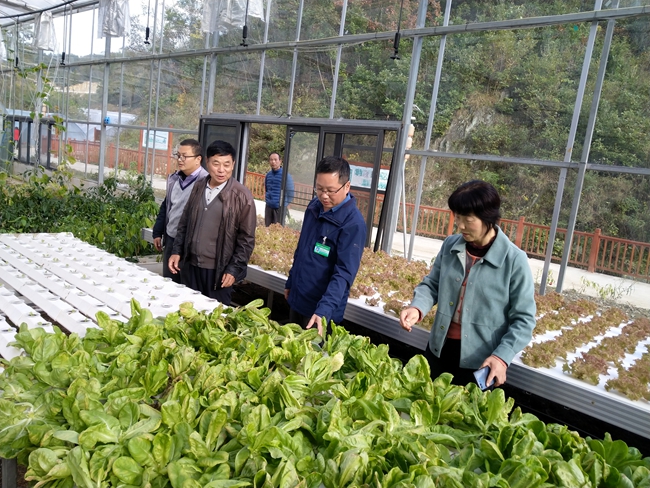 1766481460214828.jpg F1.8 HMD Global 周国林团队在长岗岭村技术服务14.jpg