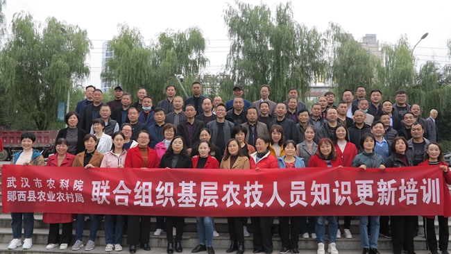 1766481539161598.jpg F5.6 Canon 在武汉组织郧西基层农技人员知识更新培训16.jpg