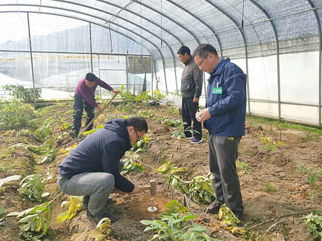 1766481615806166.jpg 周国林团队在香口蔬菜基地取土样检测17.jpg