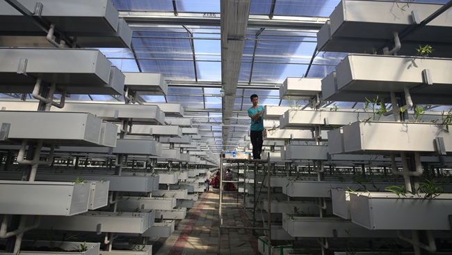 F8.0  +1_3 微信图片_20251230101537_156_683.jpg